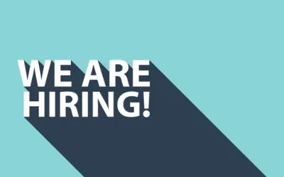 Navigating the Job Market in Somalia: Tips for Job Seekers and Employers
