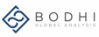Bodhi Global Analysis